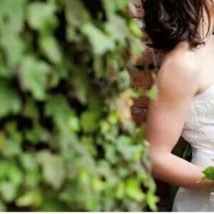 Cicada Bridal Wedding Dress